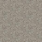 580 Granite Rose